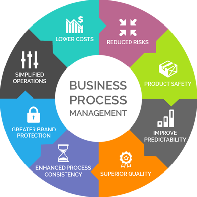 management process activities