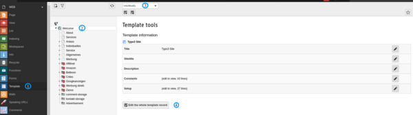 Activate the TypoScript