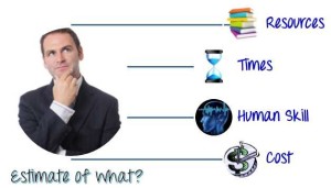 Importance of Test Estimation