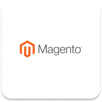 Magento Entwicklung