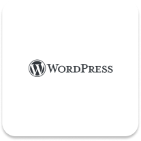WordPress Entwicklung